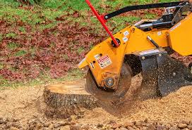 Lawn Drainage Solutions in Southside Place, TX