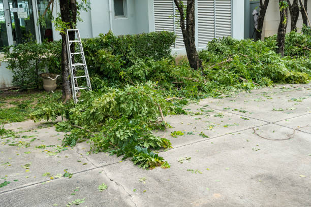 Best Aeration Services  in Southside Place, TX